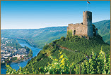 European Christmas Cruises
