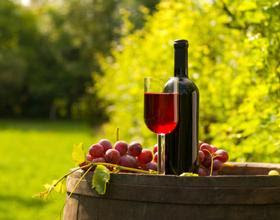 Wine Sampling in Madison, IN