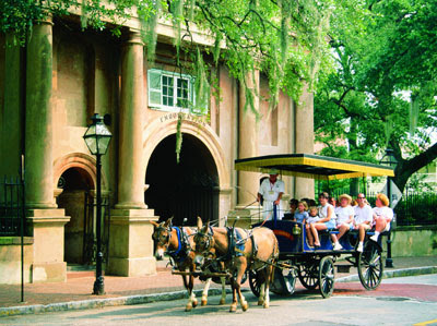 Horse and Carriage
